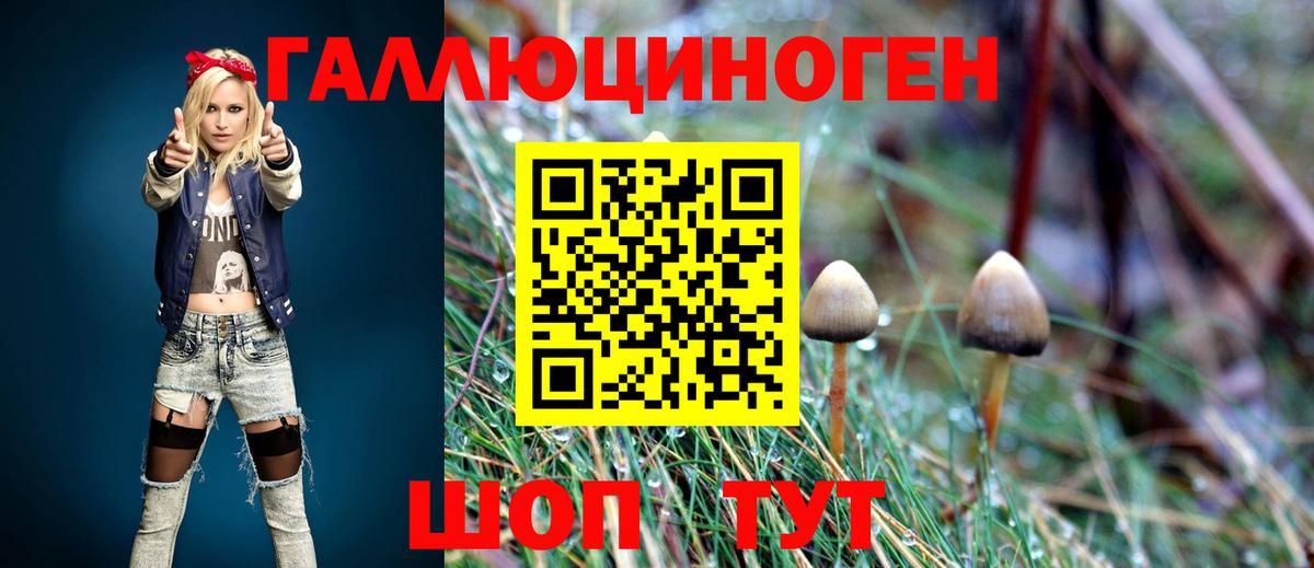 Галлюциногенные грибы Psilocybe  Вход с VPN  Нарткала 