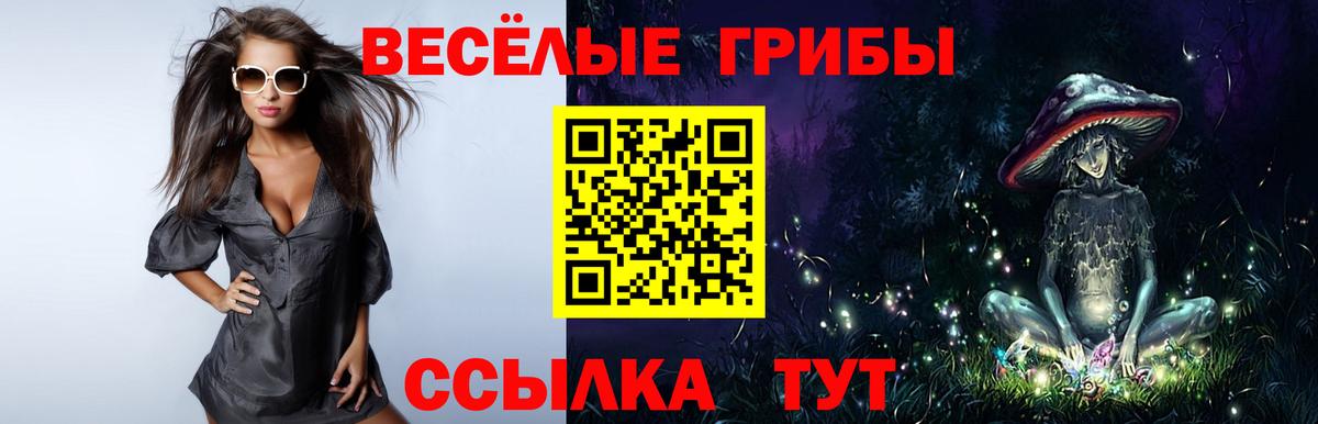 A-PVP Нарткала